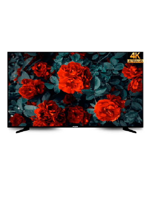 Tv Ld Full HD 4K 49¨ Polegadas.Fizzen