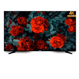 Tv Led Normal 49" Polegadas .Fizzen