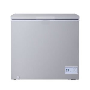 Arca Congeladora Cinzenta (2 Cestos) 195L Stix.Gka