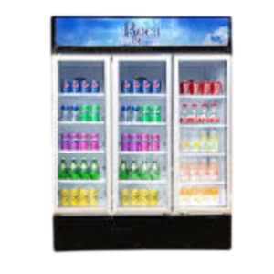 Geleira Mostruária Showcase 1020L Roch